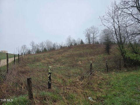 Vacant Land For Sale - 000 Walnut Mountain Road<br/> Roan Mountain, TN 37687