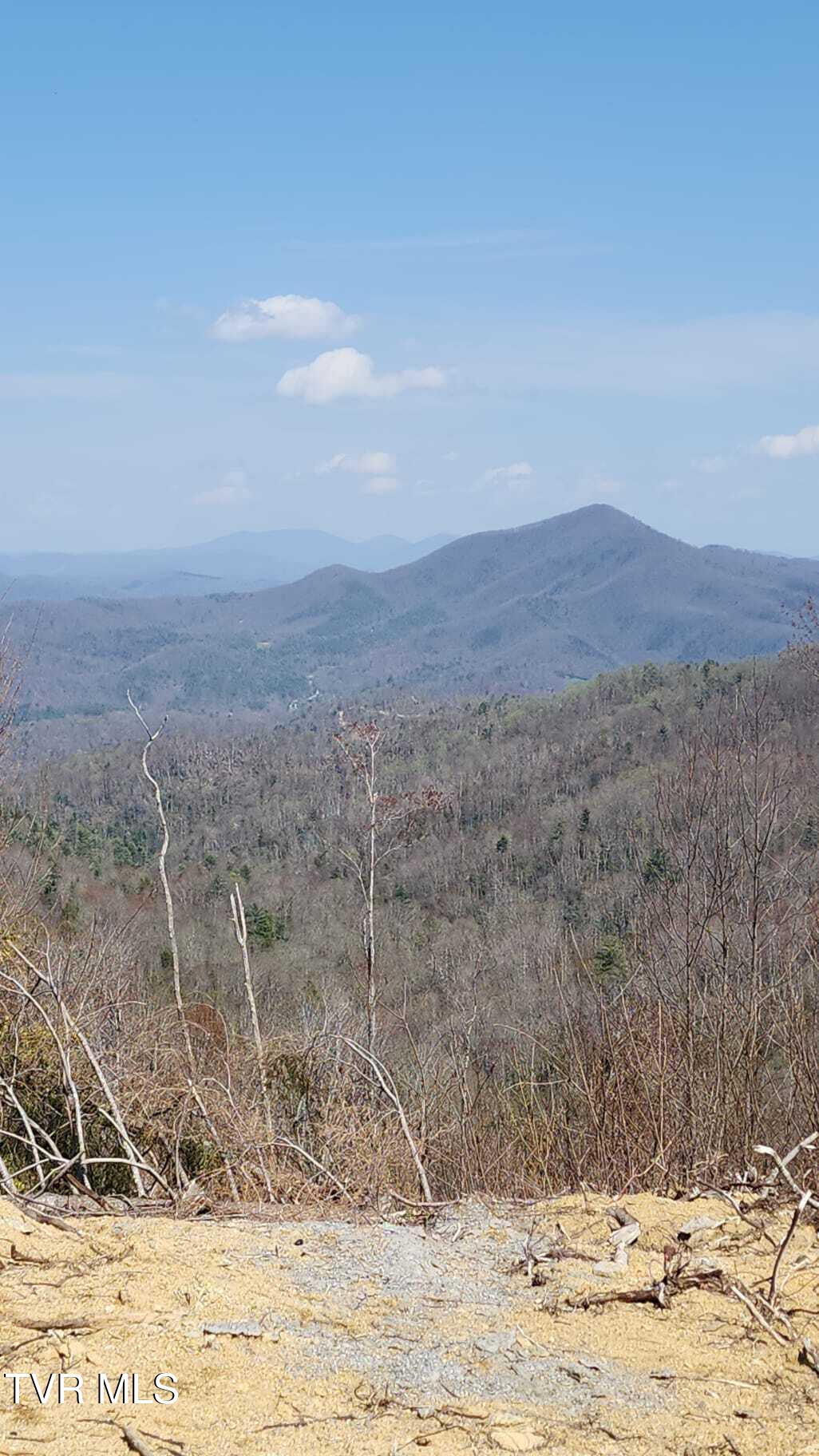 000 Walnut Mountain Road, Roan Mountain, Tennessee image 9