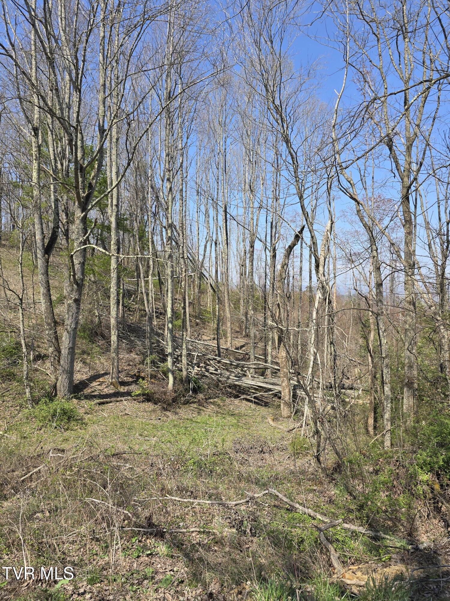 000 Walnut Mountain Road, Roan Mountain, Tennessee image 6