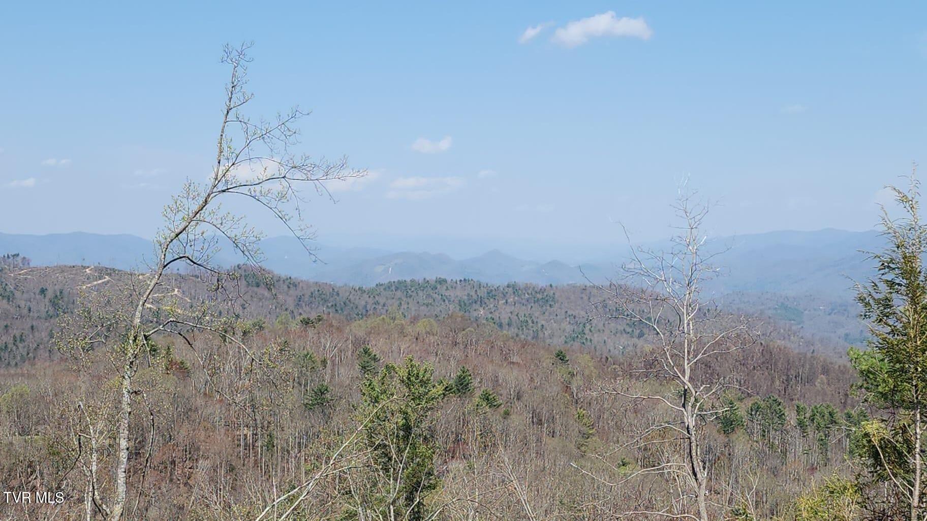 000 Walnut Mountain Road, Roan Mountain, Tennessee image 10