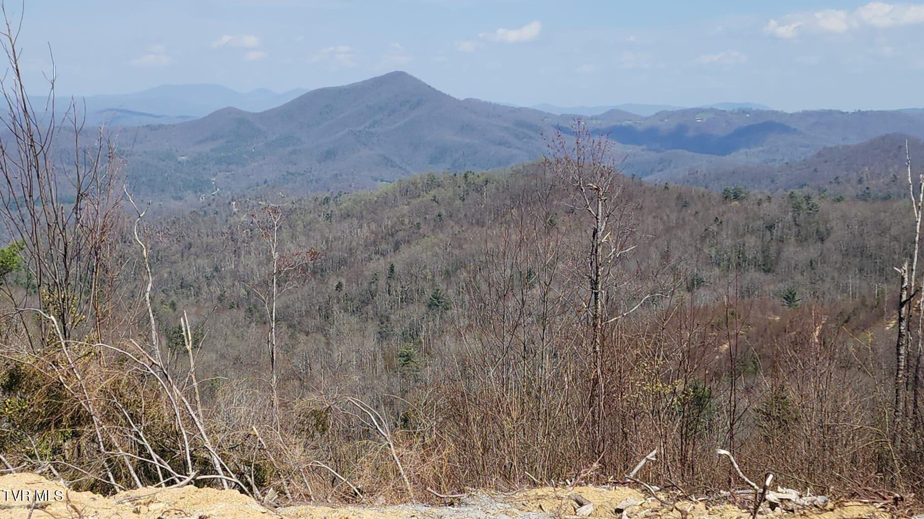 000 Walnut Mountain Road, Roan Mountain, Tennessee image 8