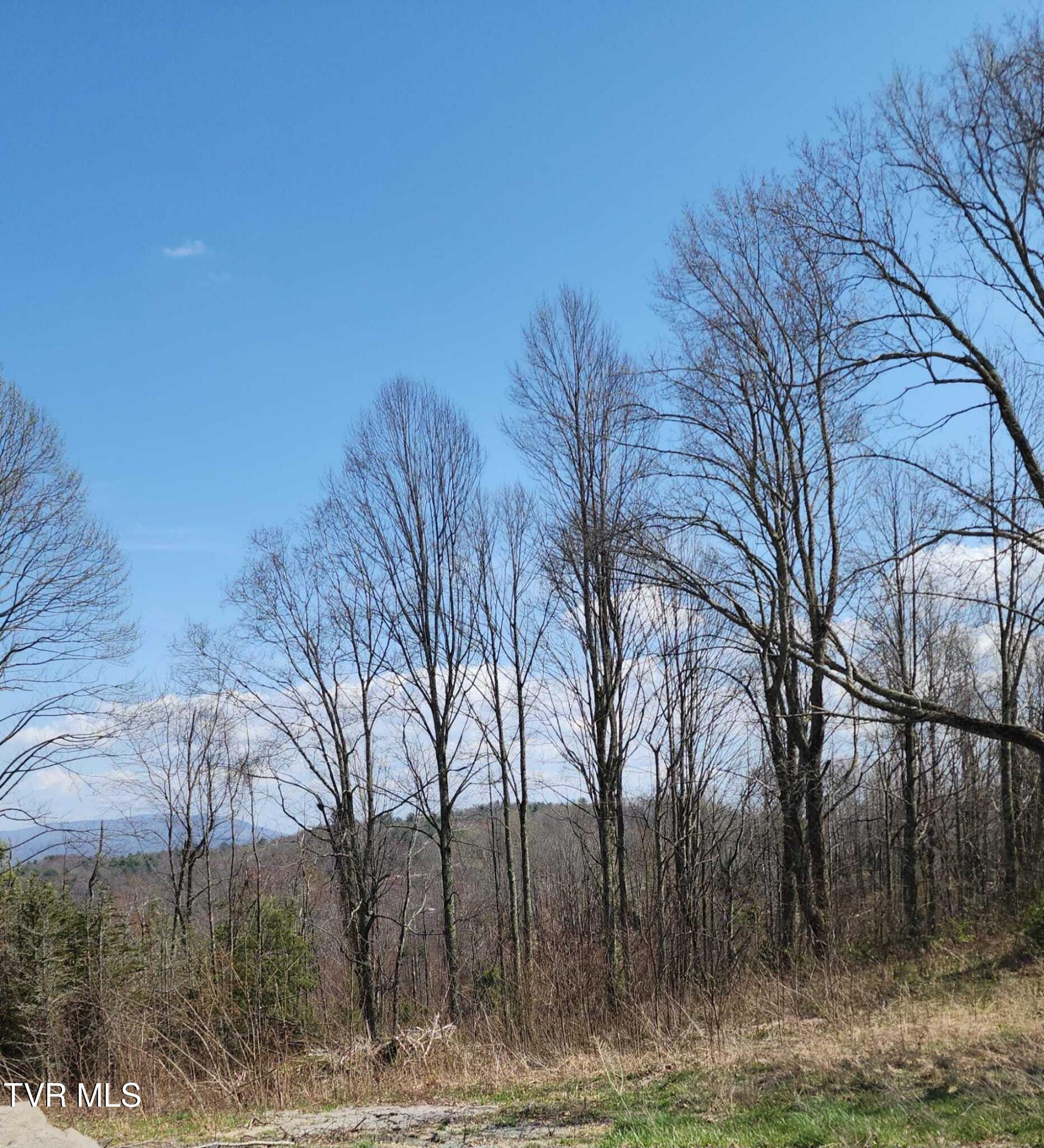 000 Walnut Mountain Road, Roan Mountain, Tennessee image 7