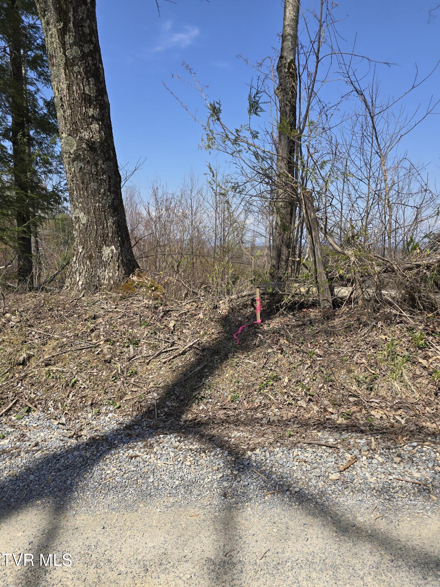 000 Walnut Mountain Road, Roan Mountain, Tennessee image 4