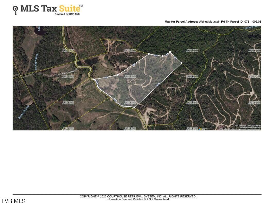 000 Walnut Mountain Road, Roan Mountain, Tennessee image 2