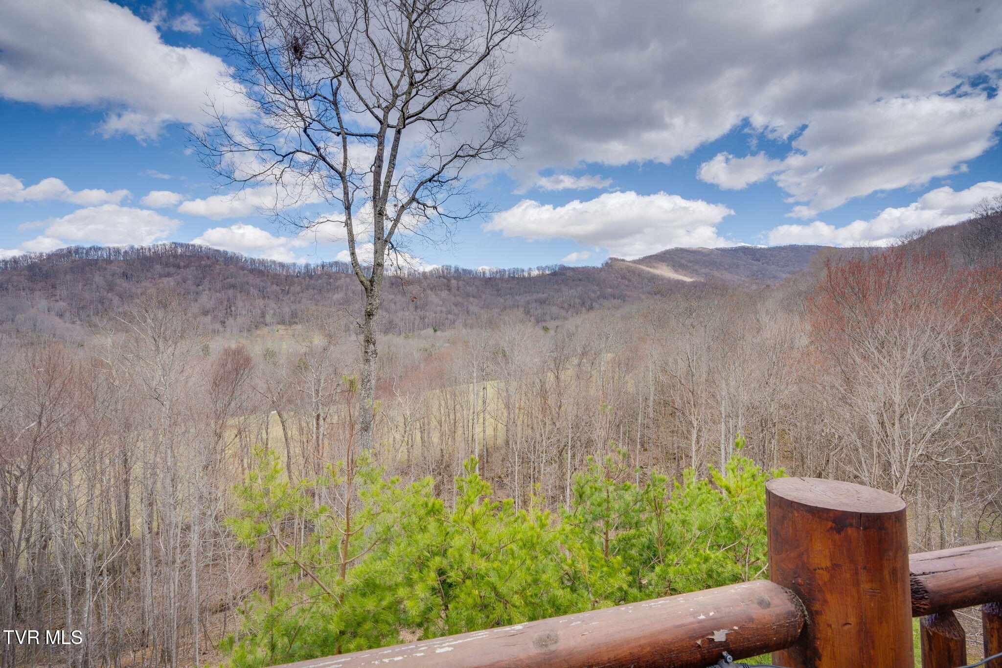 408 Eagle Ridge Road, Roan Mountain, Tennessee image 33
