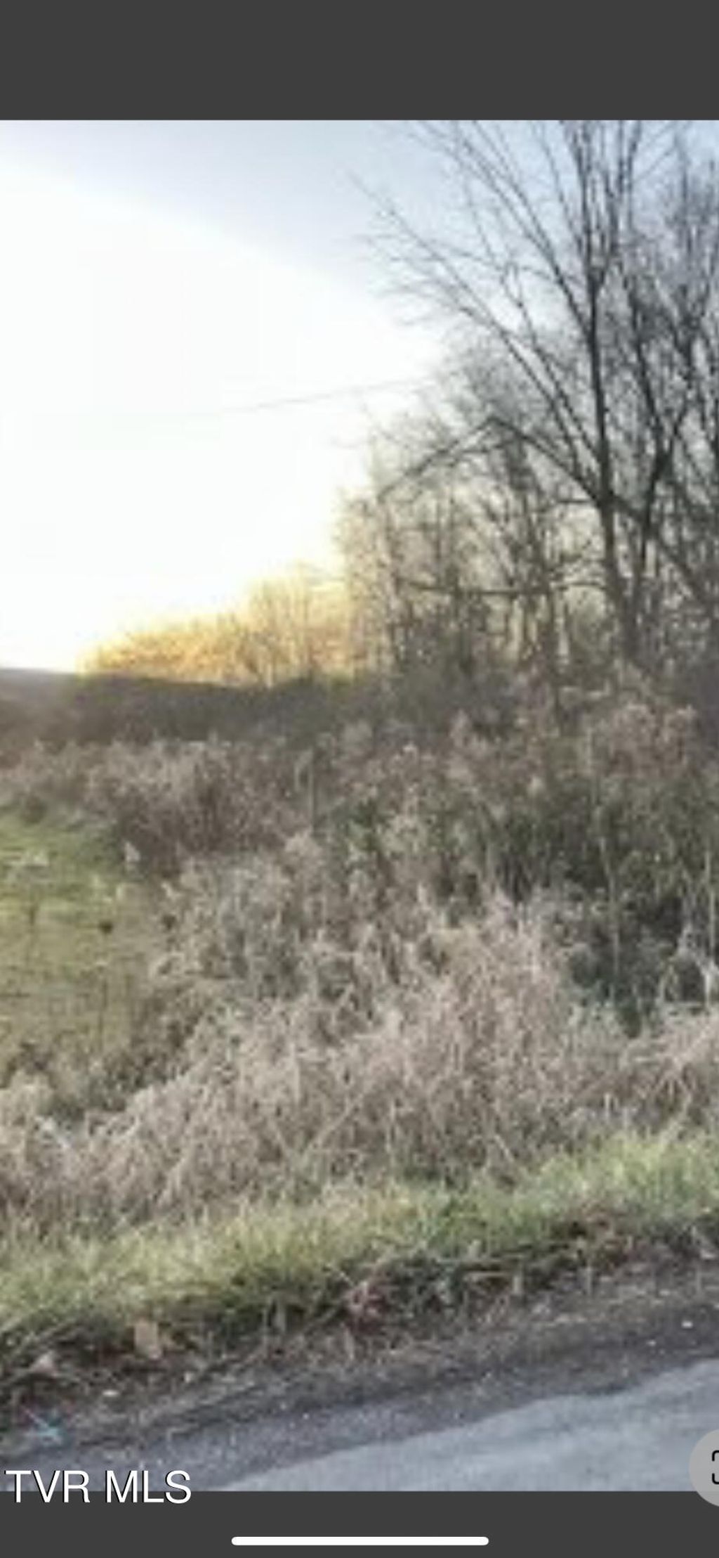 Photo of 0 Essex Road, Coeburn, VA 24230 (MLS # 9979019)