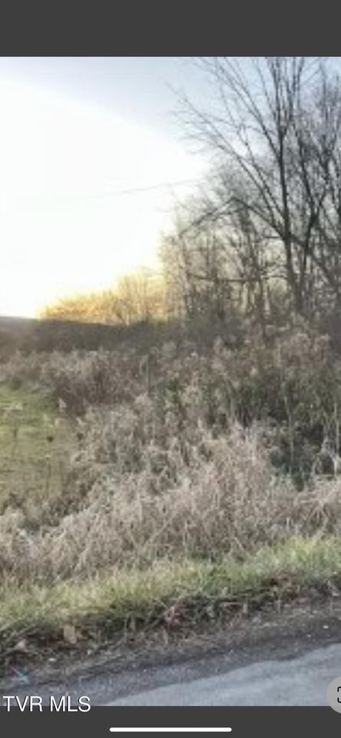 Vacant Land For Sale - Essex Road<br/> Wise County, Coeburn, VA 24230