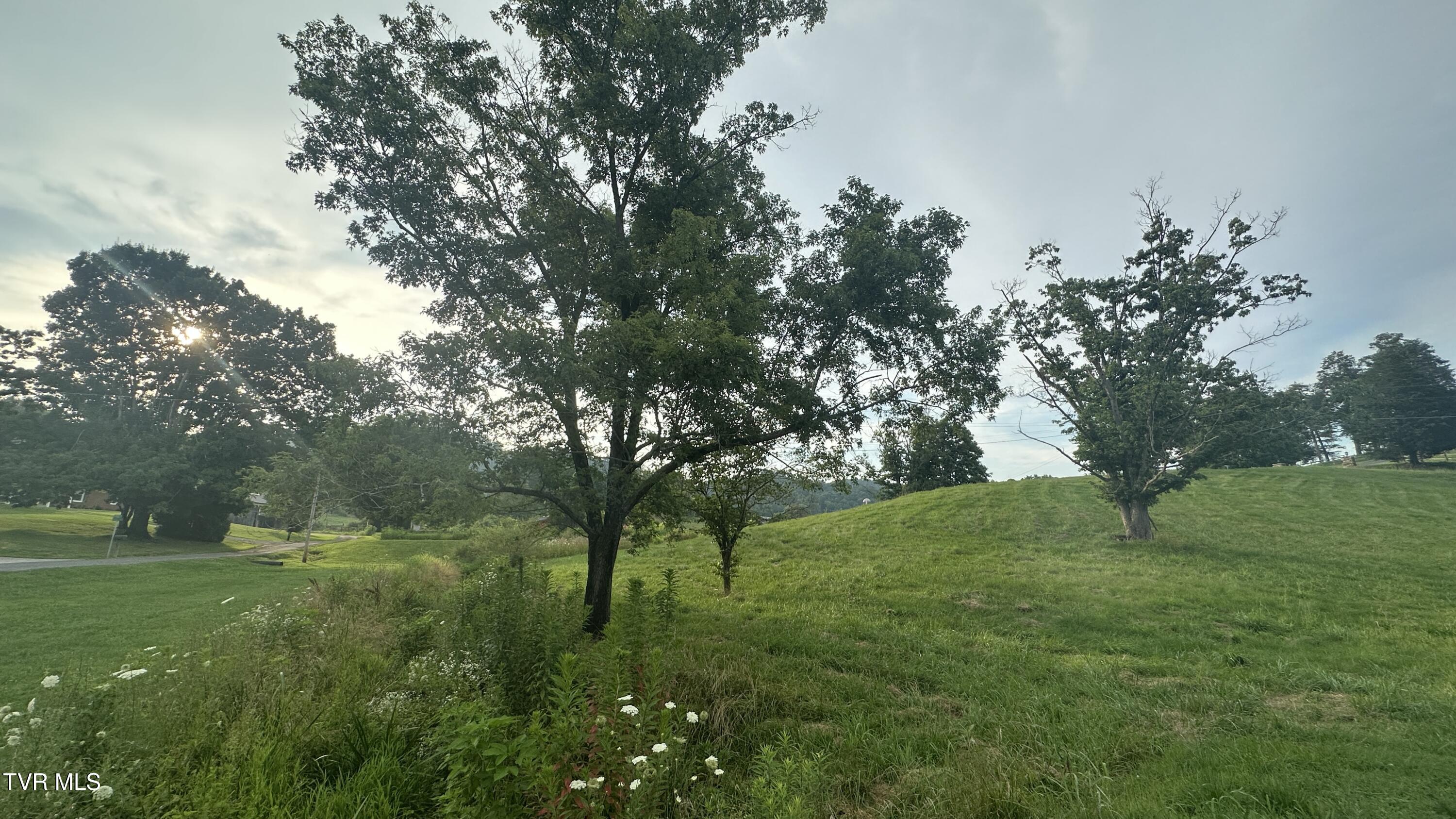 202 Eidson Lane, Rogersville, Tennessee image 8