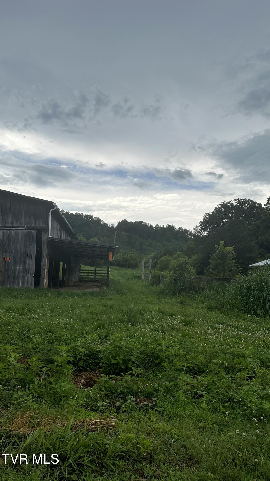 202 Eidson Lane, Rogersville, Tennessee image 28