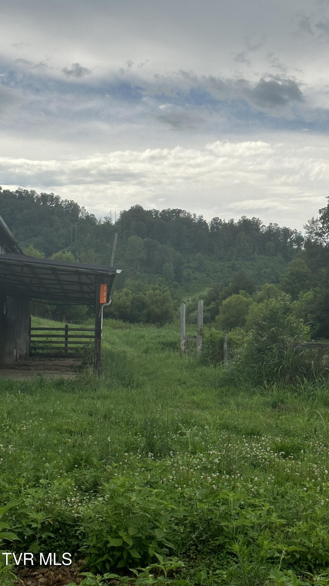 202 Eidson Lane, Rogersville, Tennessee image 27