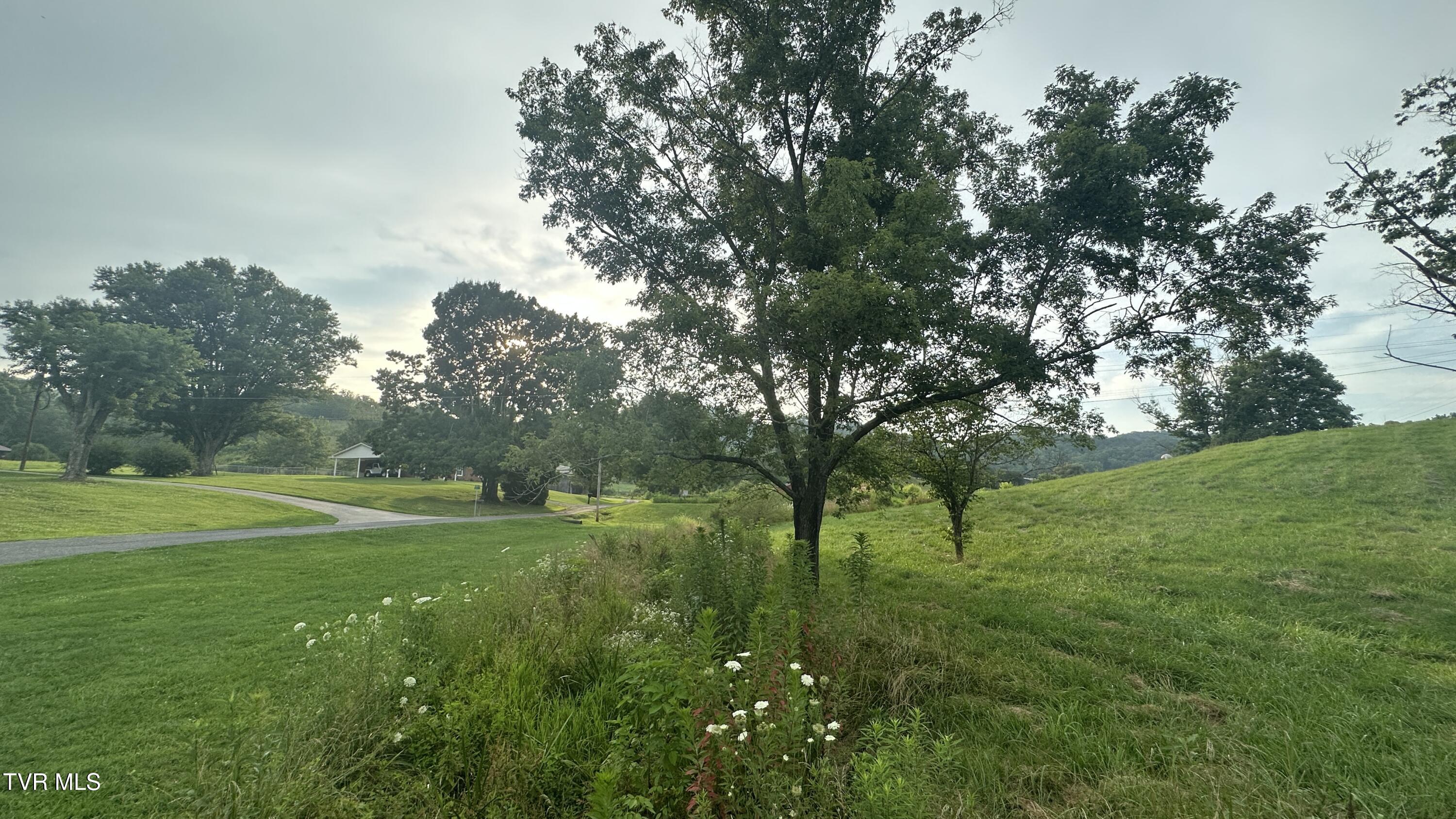 202 Eidson Lane, Rogersville, Tennessee image 9