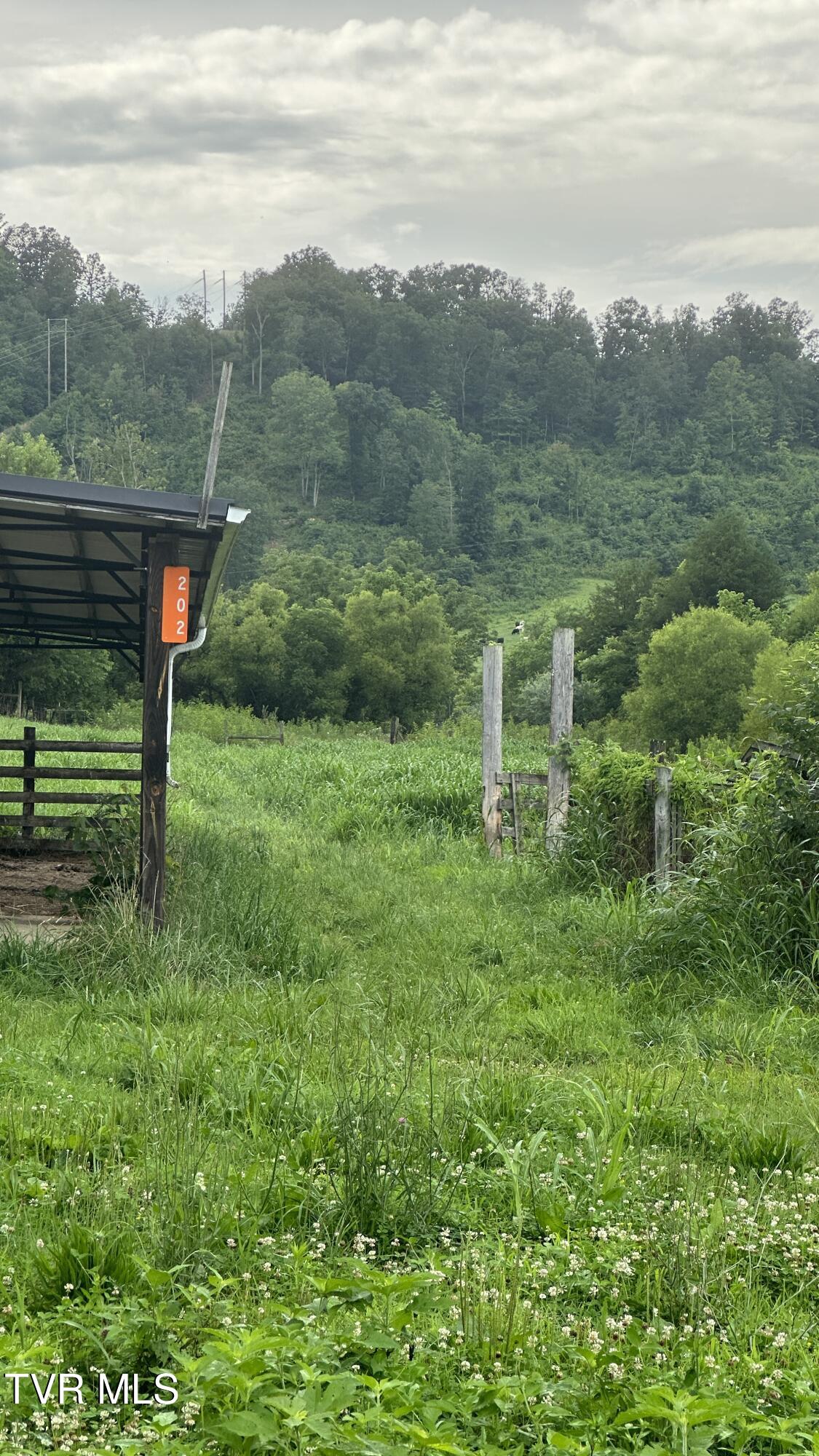202 Eidson Lane, Rogersville, Tennessee image 26