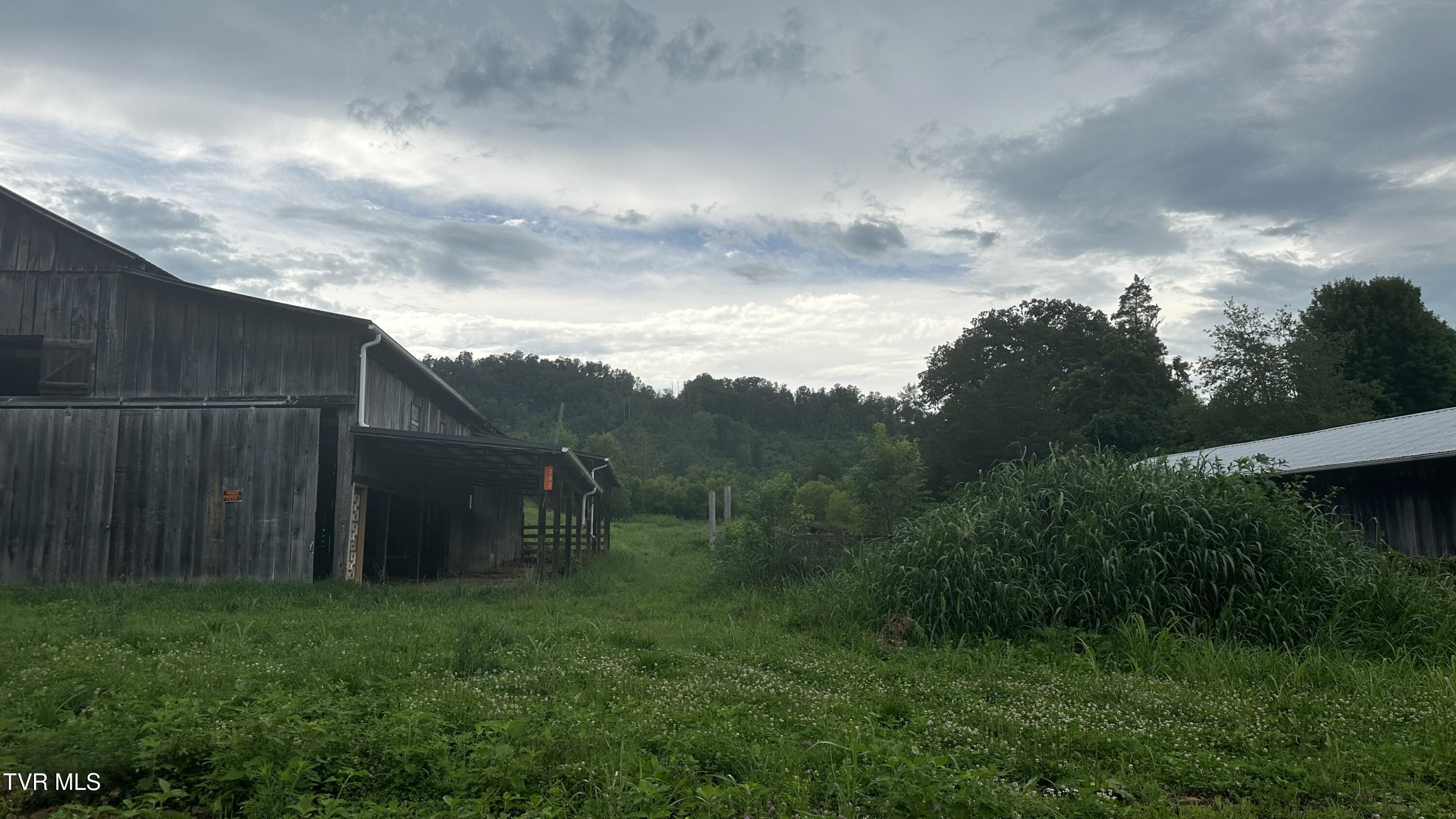 202 Eidson Lane, Rogersville, Tennessee image 24