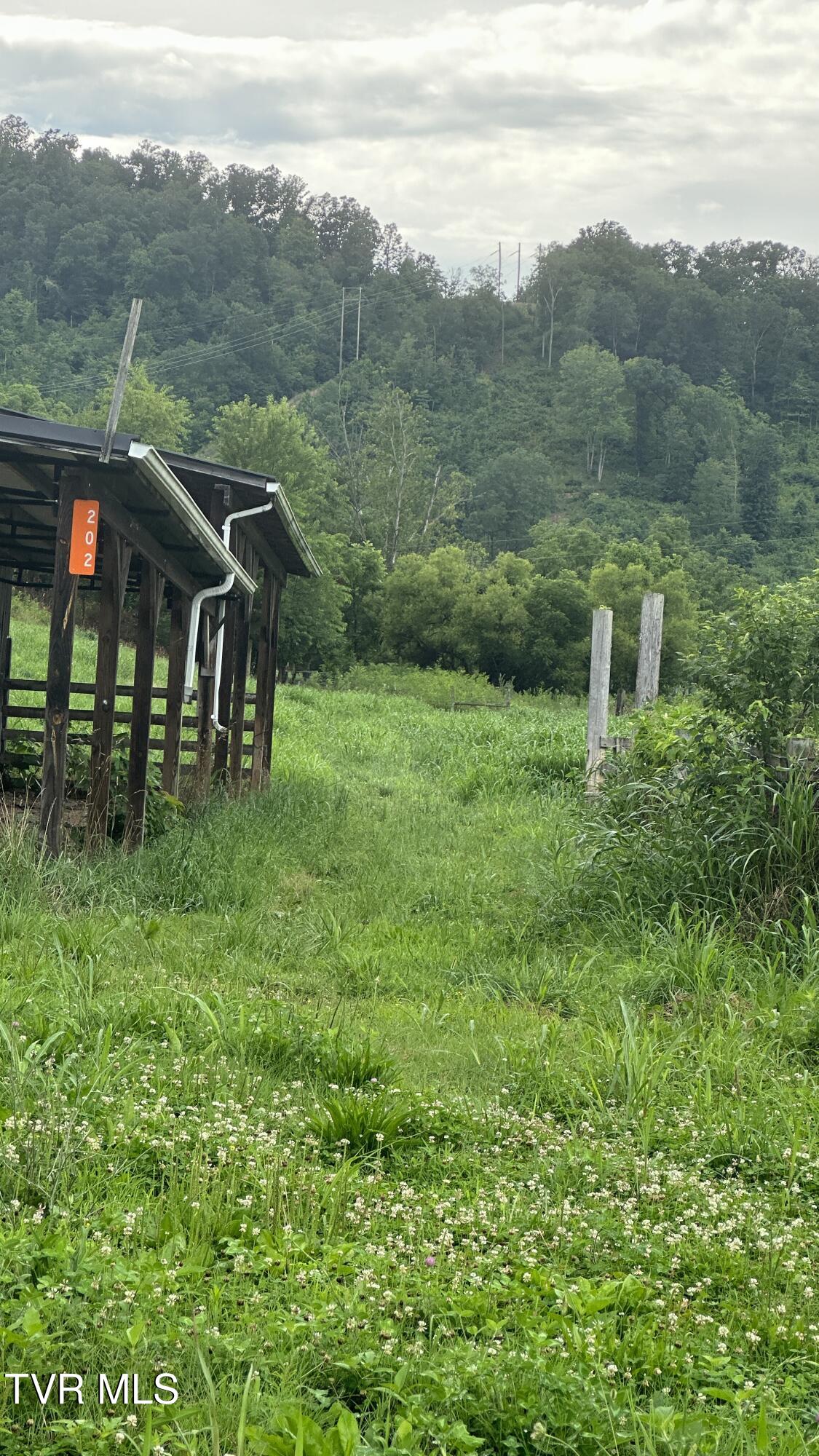 202 Eidson Lane, Rogersville, Tennessee image 25