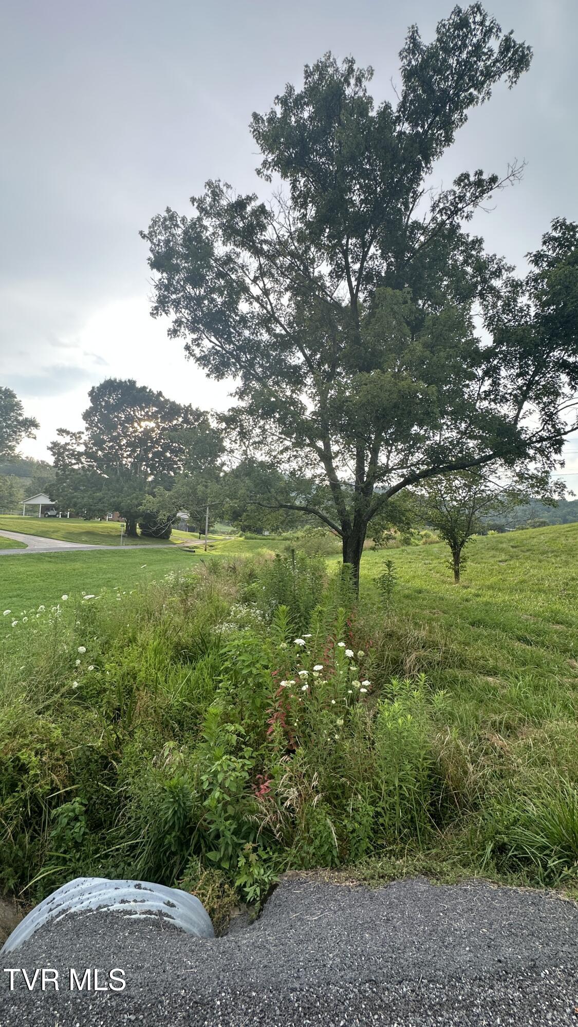 202 Eidson Lane, Rogersville, Tennessee image 10
