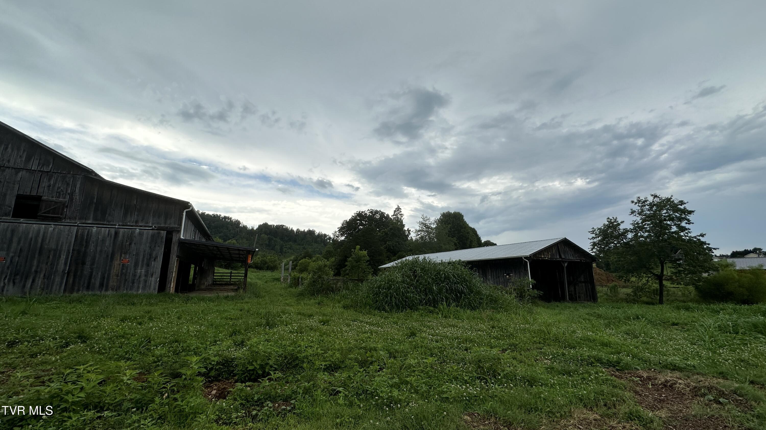 202 Eidson Lane, Rogersville, Tennessee image 30