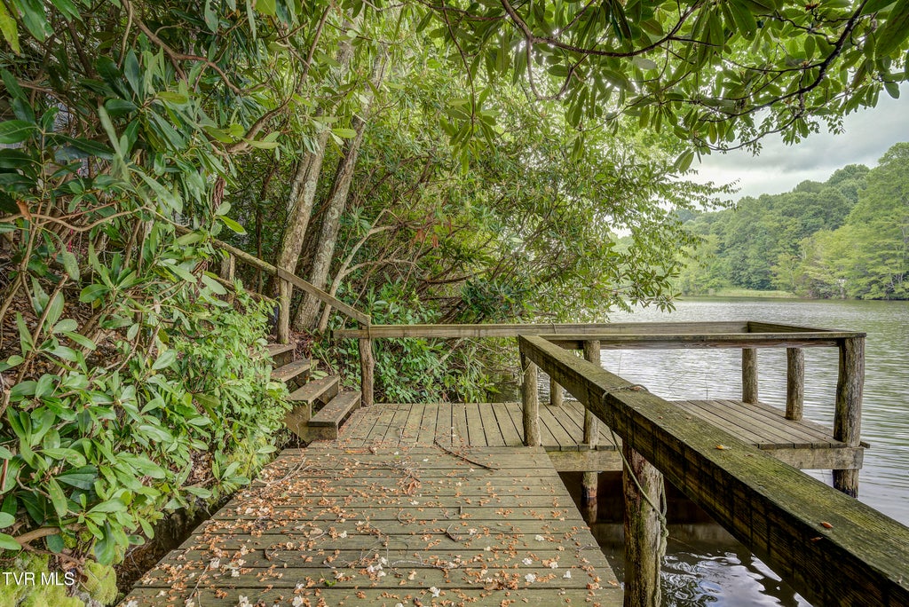 Photo of 144 Ripshin Lake Road, Roan Mountain, TN 37687 (MLS # 9999026)