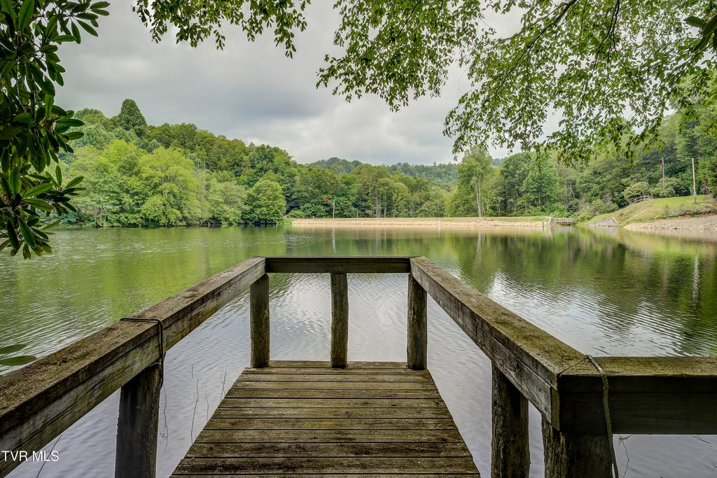 Photo of 144 Ripshin Lake Road, Roan Mountain, TN 37687 (MLS # 9999026)
