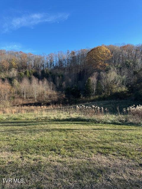 1208 Old Jonesboro Road, Bristol, Tennessee image 3