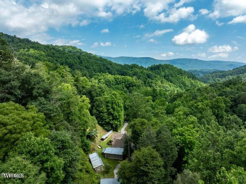 Photo of 301 Cabin Orchard Road, Erwin, TN 37650 (MLS # 9985753)