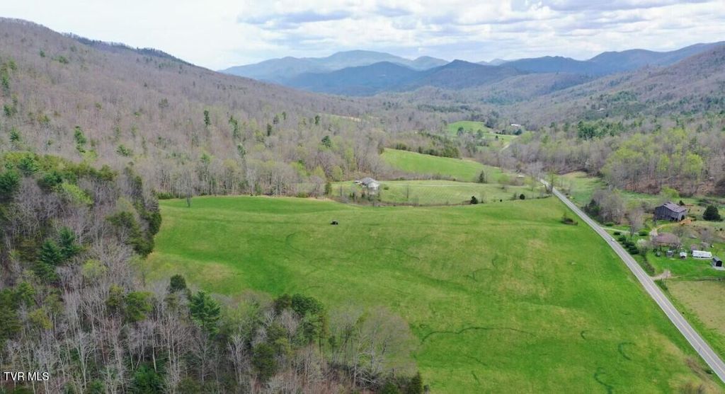 Photo of 194 Tbd Houston Valley Rd, Greeneville, TN 37743 (MLS # 9993593)