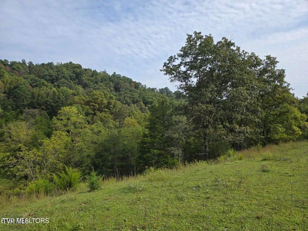 Photo of Tbd E Pumpkin Valley Road, Eidson, TN 37731 (MLS # 9986955)