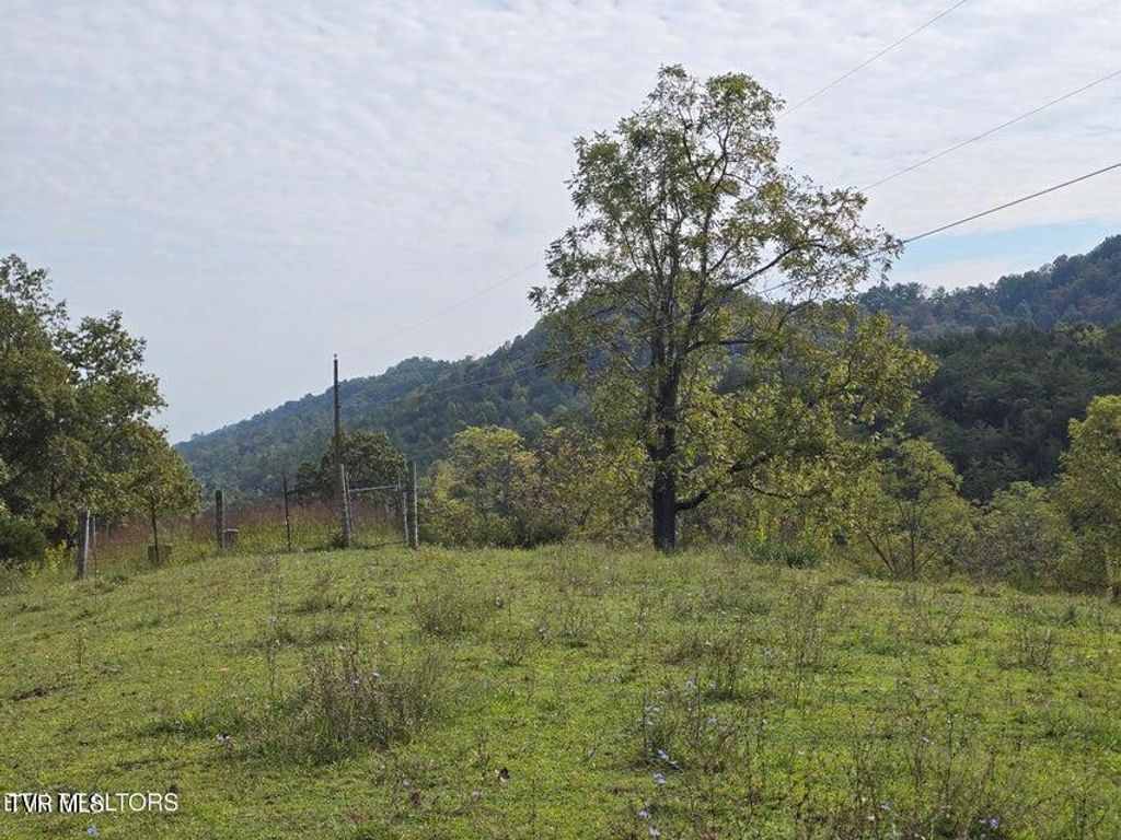 Photo of Tbd E Pumpkin Valley Road, Eidson, TN 37731 (MLS # 9986955)