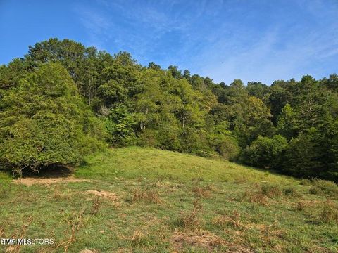 Vacant Land For Sale - TBD E Pumpkin Valley Road<br/> Eidson, TN 37731