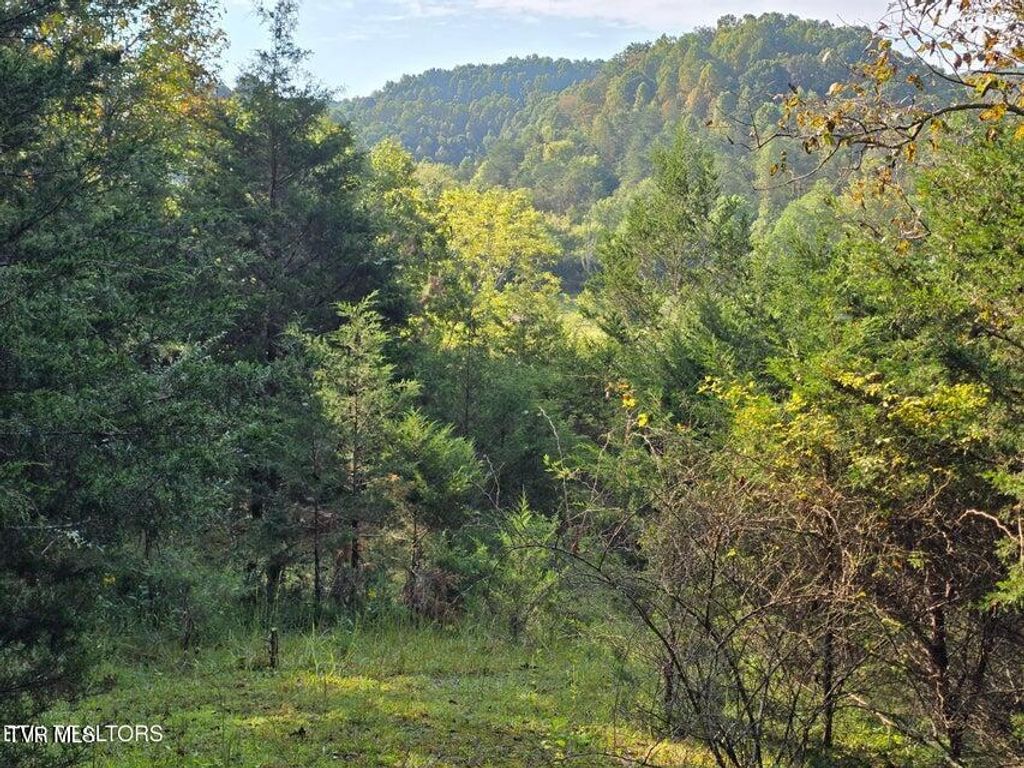 Photo of Tbd Epumpkin Valley Road, Eidson, TN 37731 (MLS # 9986955)