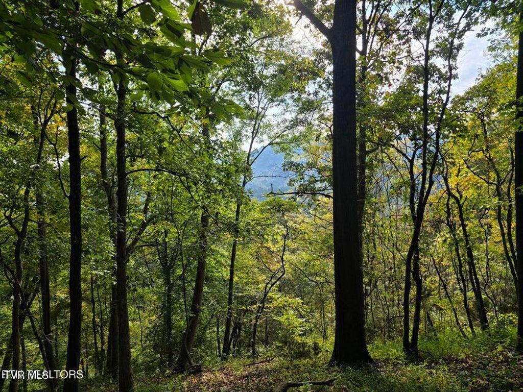 Photo of Tbd Epumpkin Valley Road, Eidson, TN 37731 (MLS # 9986955)