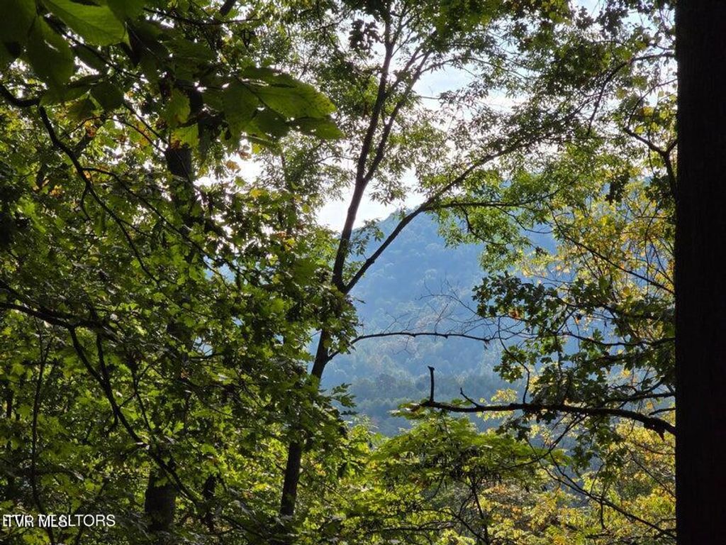 Photo of Tbd Epumpkin Valley Road, Eidson, TN 37731 (MLS # 9986955)