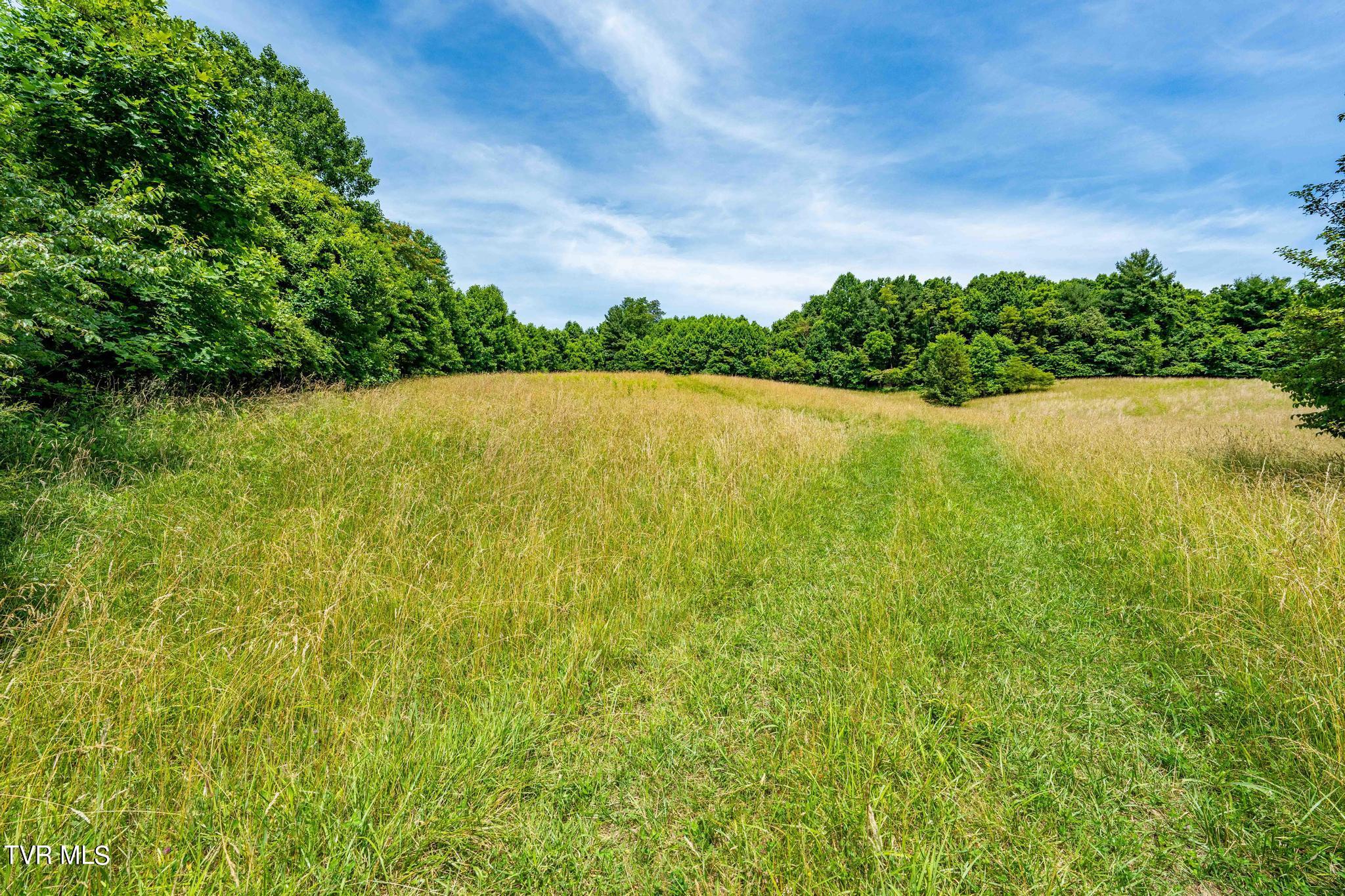 Eaton Station Road, Kingsport, Tennessee image 24