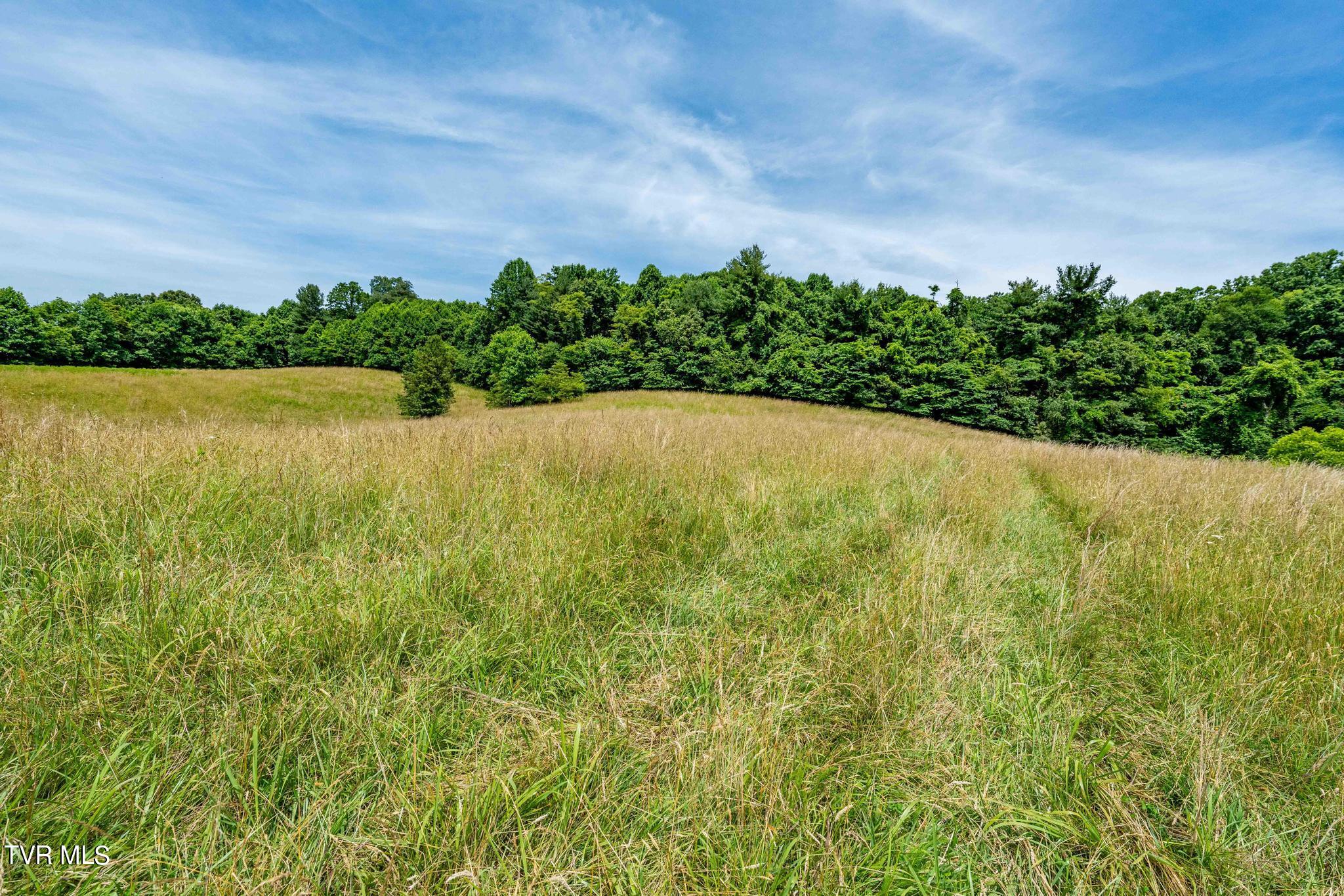 Eaton Station Road, Kingsport, Tennessee image 34