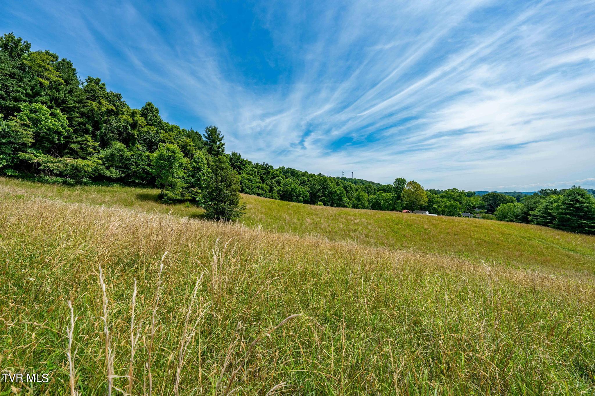 Eaton Station Road, Kingsport, Tennessee image 31