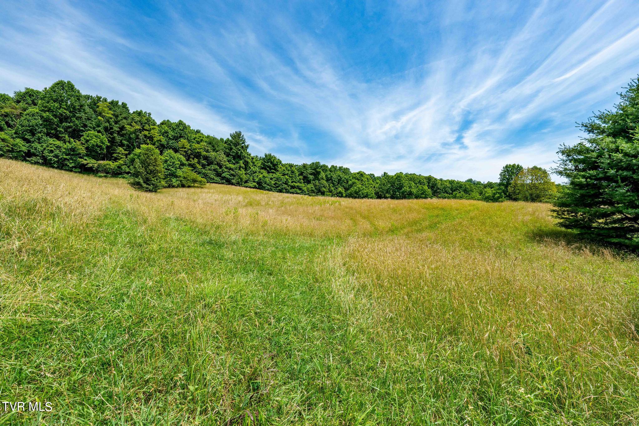 Eaton Station Road, Kingsport, Tennessee image 26