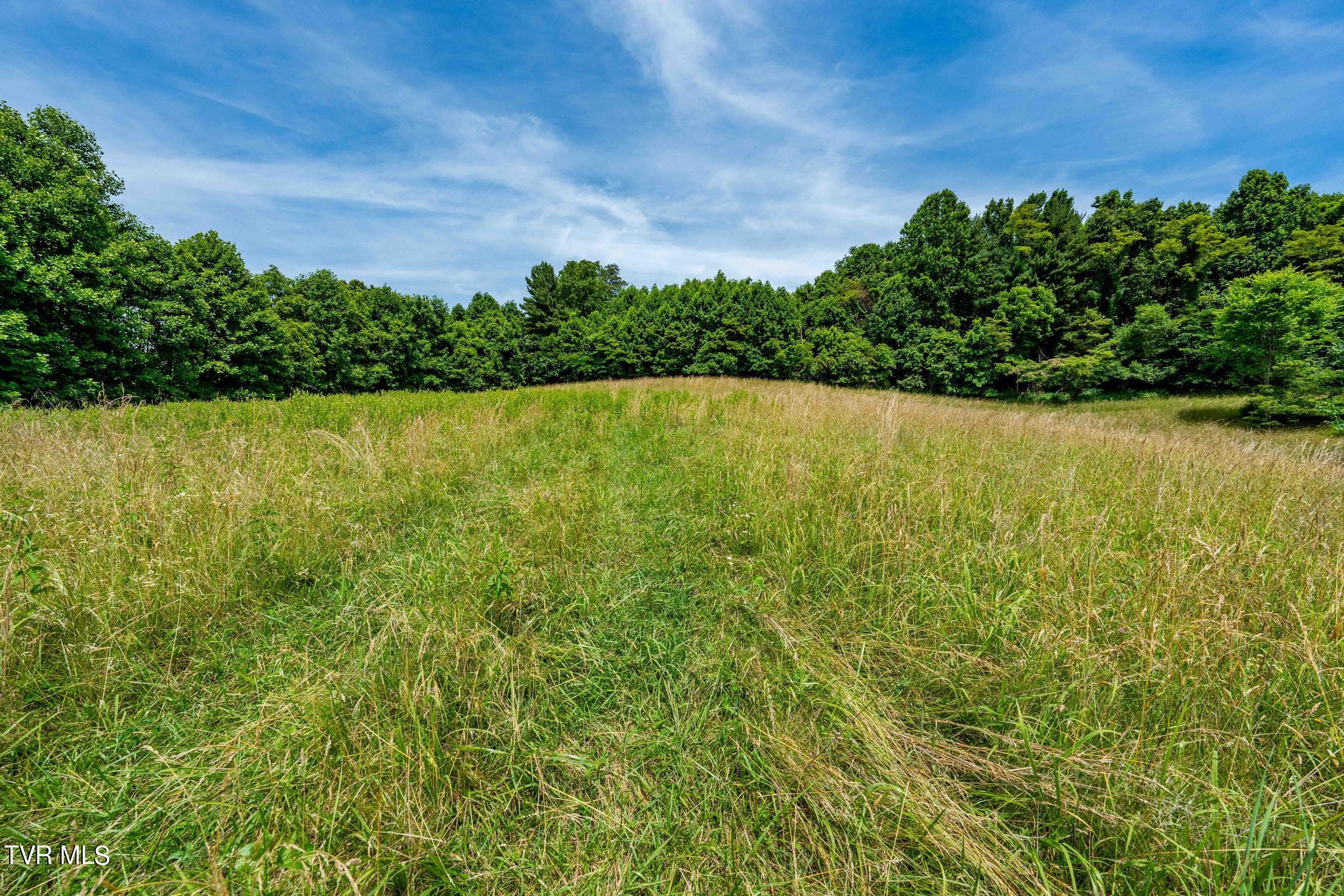 Eaton Station Road, Kingsport, Tennessee image 29