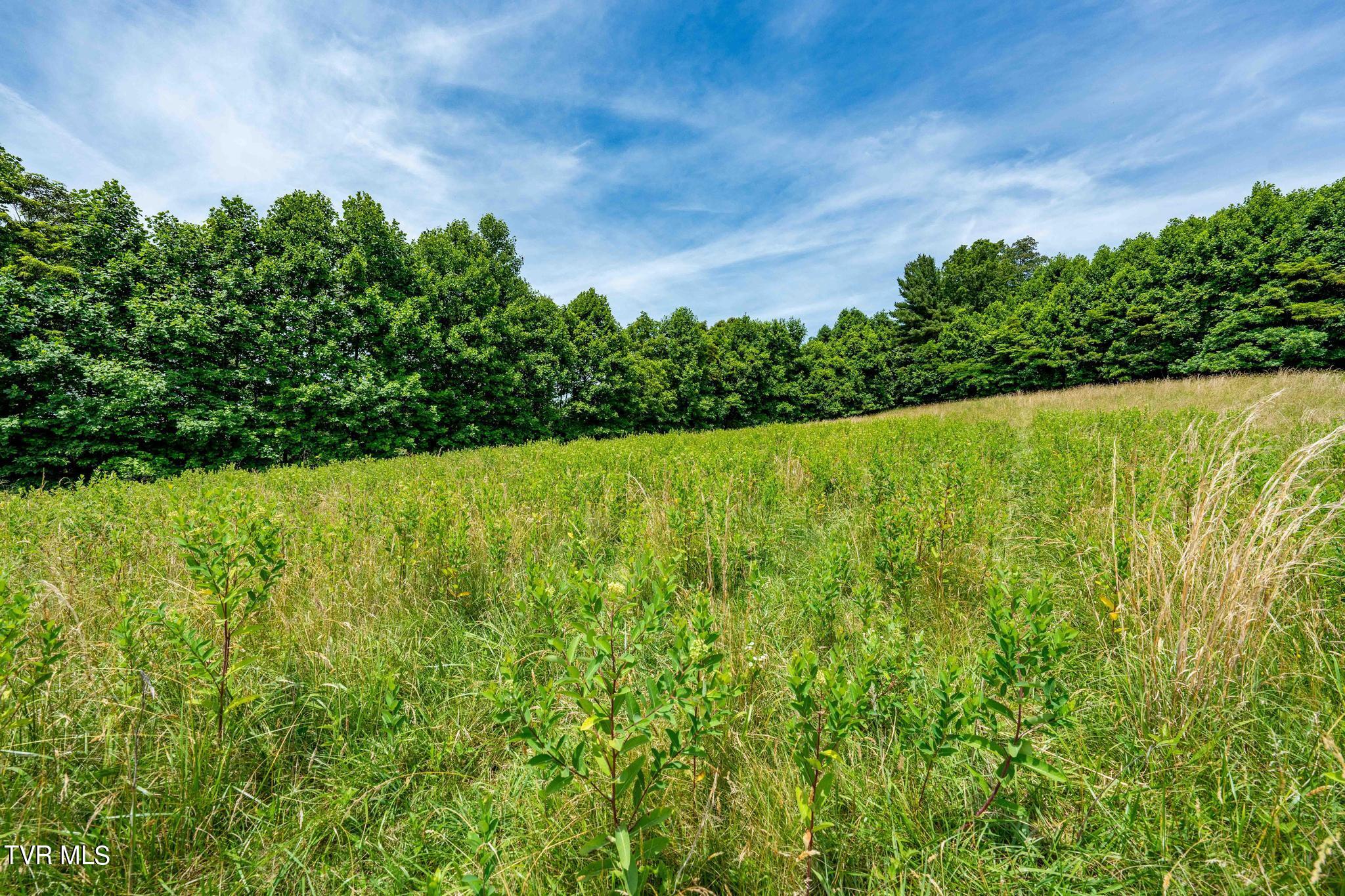 Eaton Station Road, Kingsport, Tennessee image 30