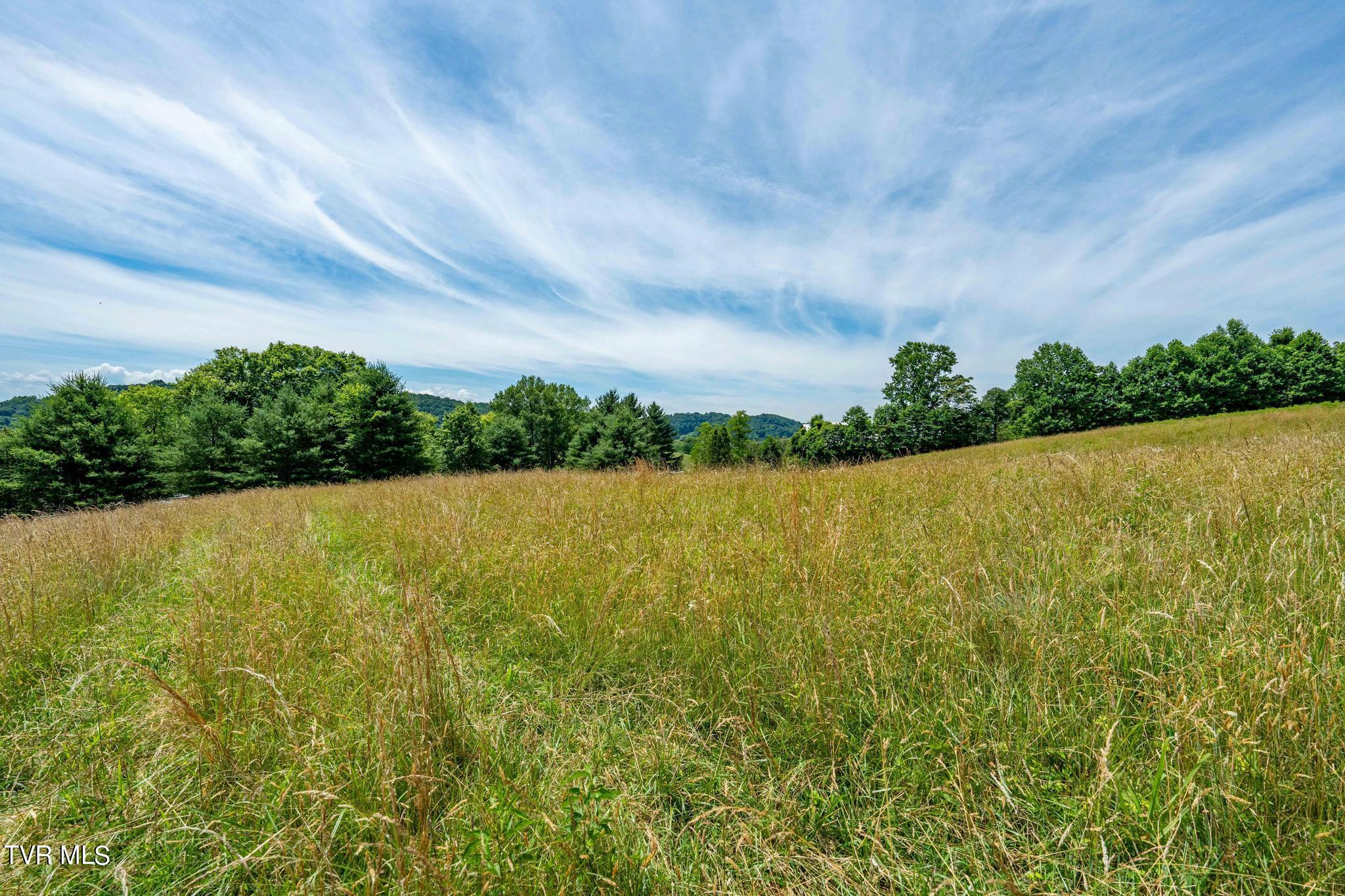 Eaton Station Road, Kingsport, Tennessee image 36