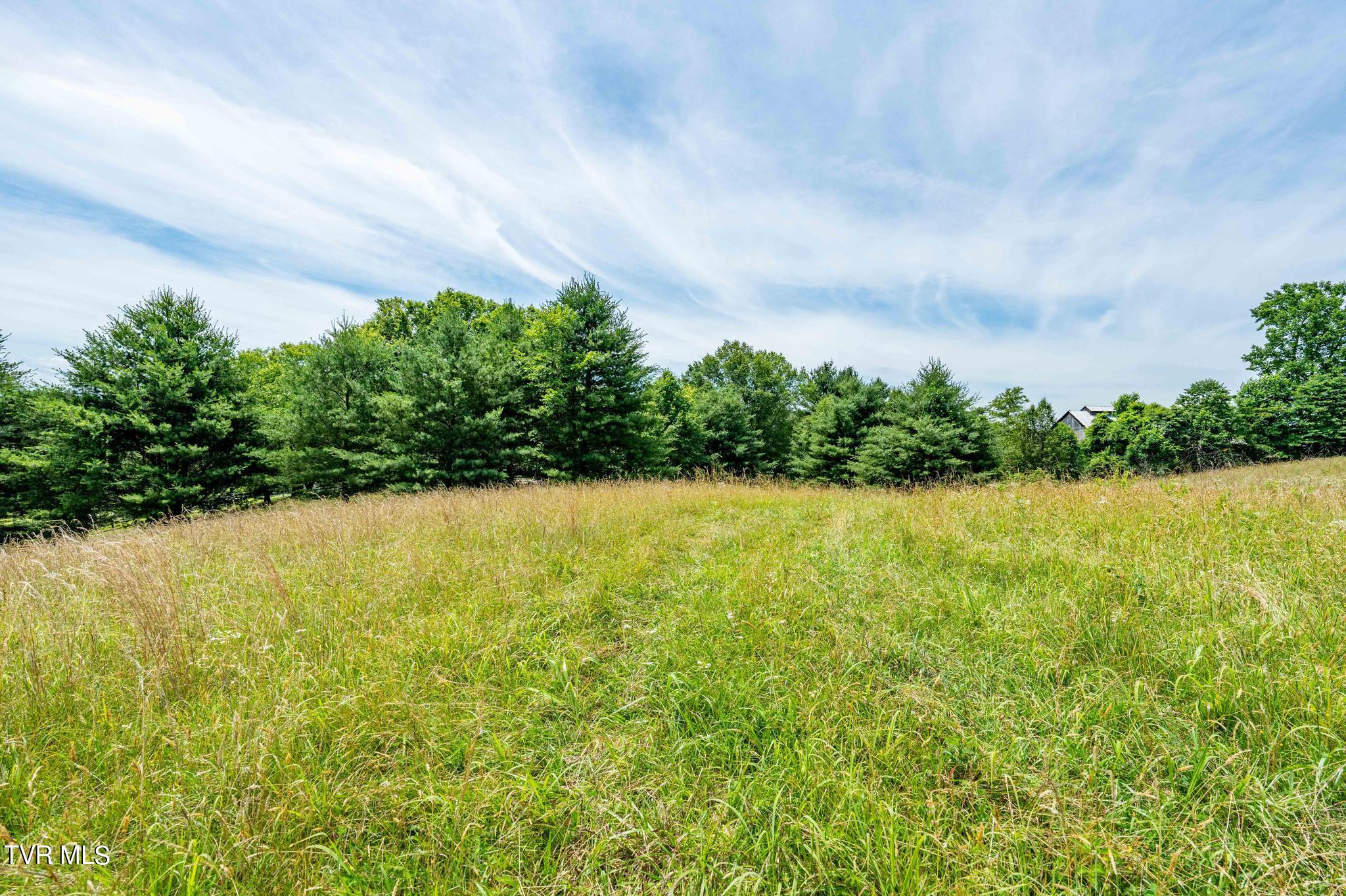 Eaton Station Road, Kingsport, Tennessee image 35
