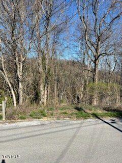 320 Blue Haven Drive, Kingsport, Tennessee image 3