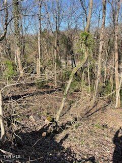 320 Blue Haven Drive, Kingsport, Tennessee image 4