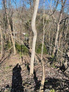 320 Blue Haven Drive, Kingsport, Tennessee image 5
