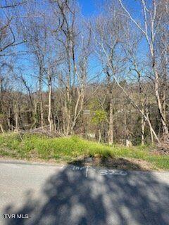 320 Blue Haven Drive, Kingsport, Tennessee image 1