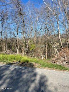 320 Blue Haven Drive, Kingsport, Tennessee image 2