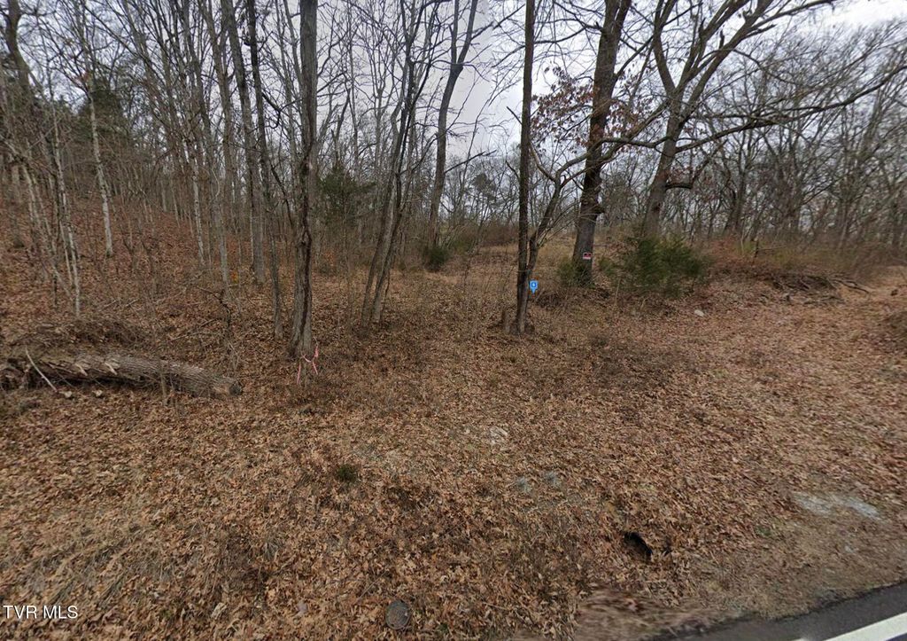 Photo of 1744 Old Knoxville Highway, Sevierville, TN 37876 (MLS # 9988557)