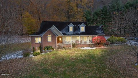 Photo of 203 Peoples Farm Road, Johnson City, TN 37601 (MLS # 9988519)