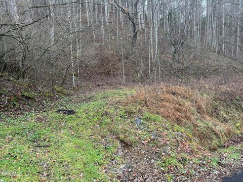 Vacant Land For Sale - TBD Tiger Creek Road<br/> Roan Mountain, TN 37687
