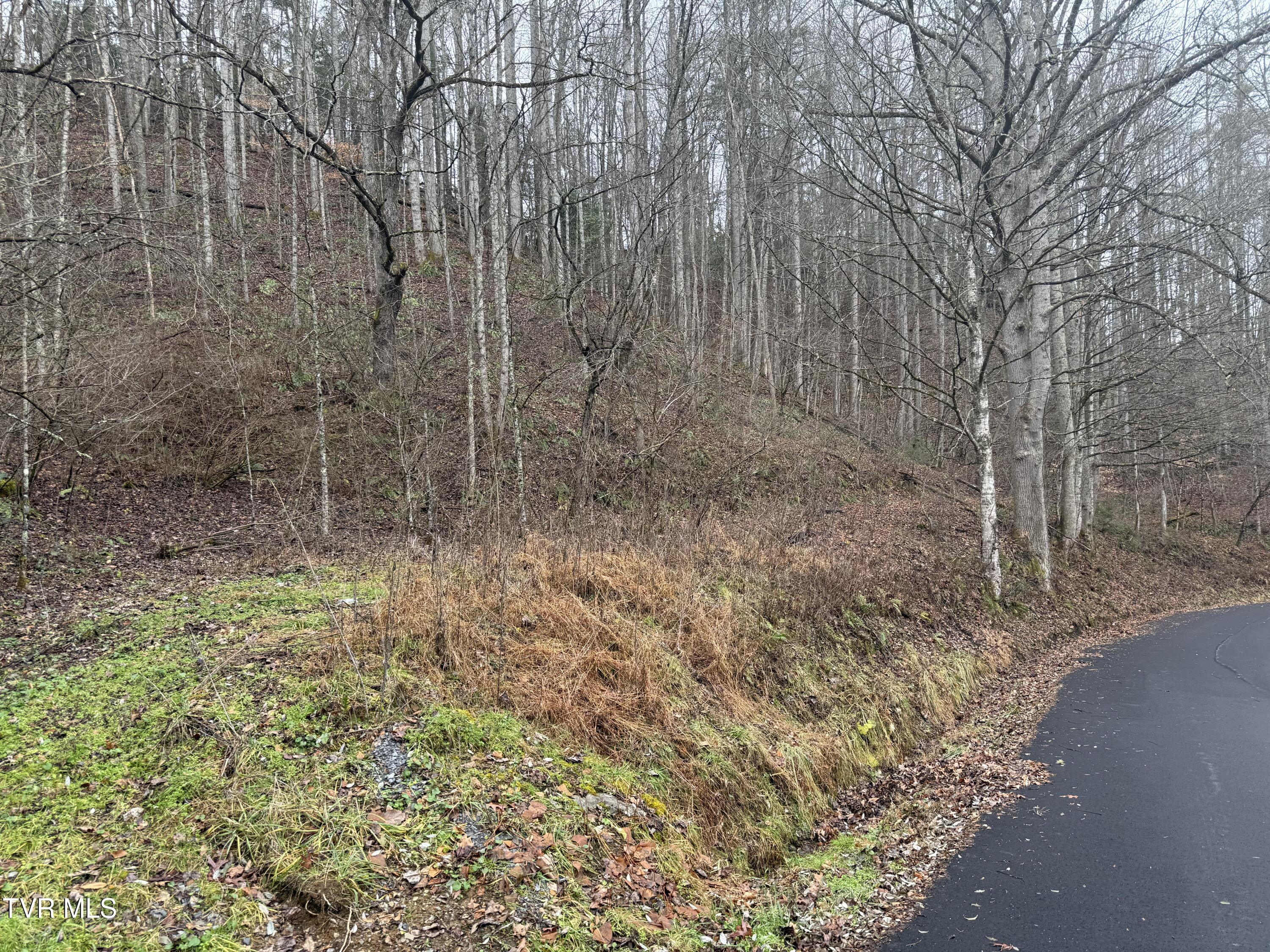 Tbd Tiger Creek Road, Roan Mountain, Tennessee image 3