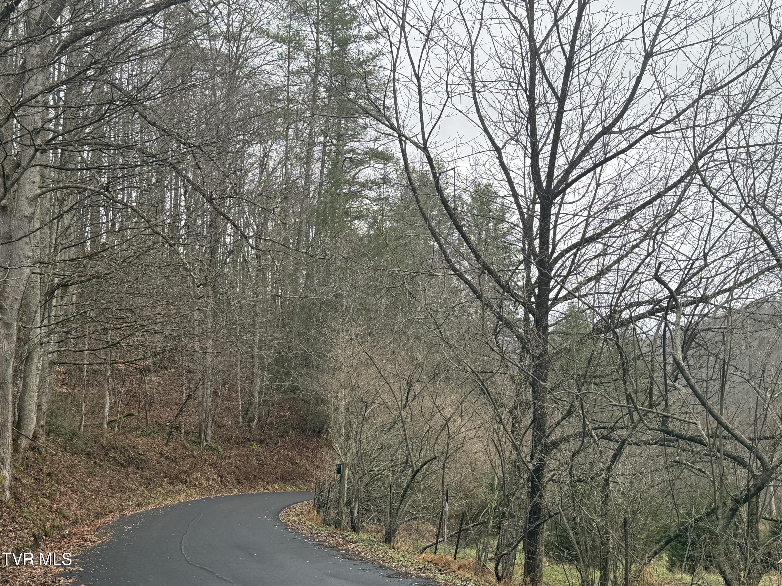 Tbd Tiger Creek Road, Roan Mountain, Tennessee image 7
