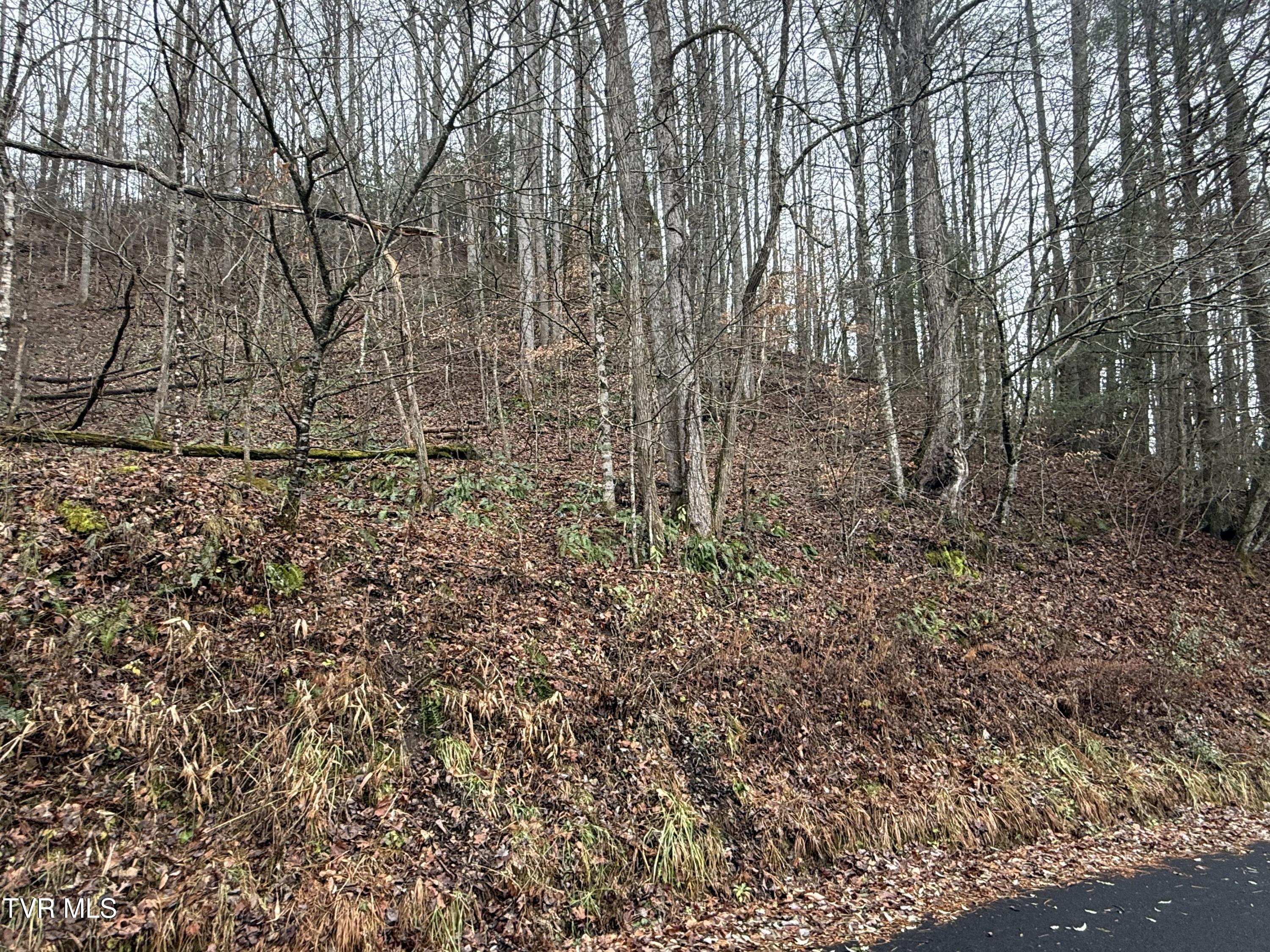 Tbd Tiger Creek Road, Roan Mountain, Tennessee image 13
